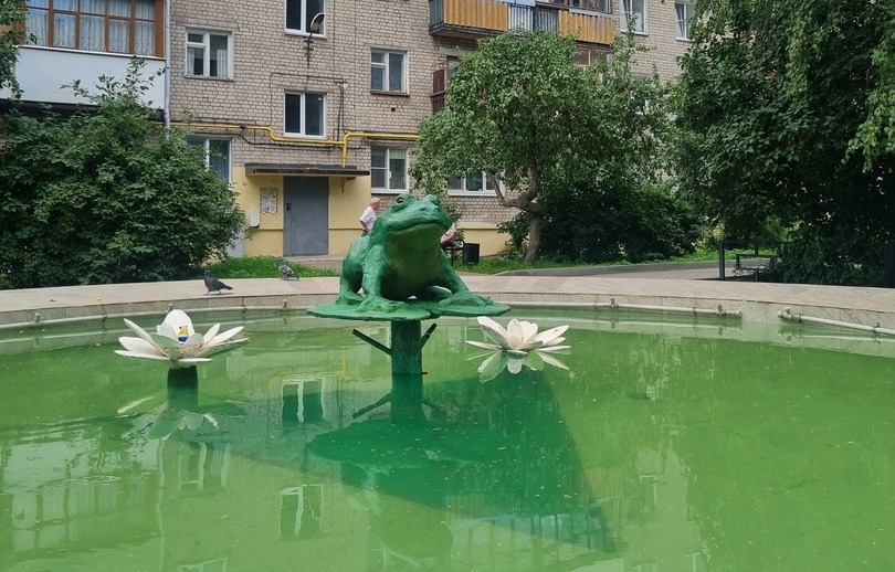 Борский фонтан "Лягушка" не прошёл проверку дождем